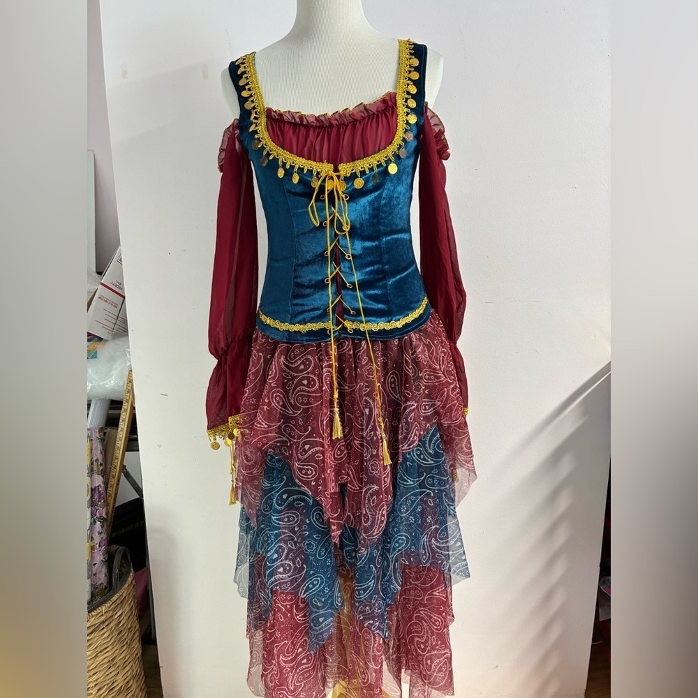 Fortune Teller/Gypsy One-Piece Women’s Costume, Medium, Blue/Maroon